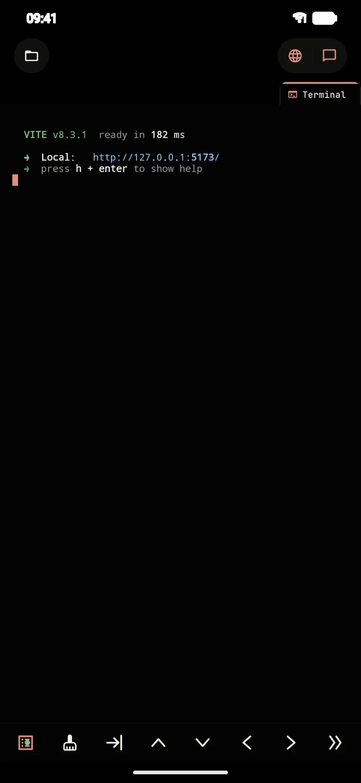 PolyDev terminal running a dev server on Android